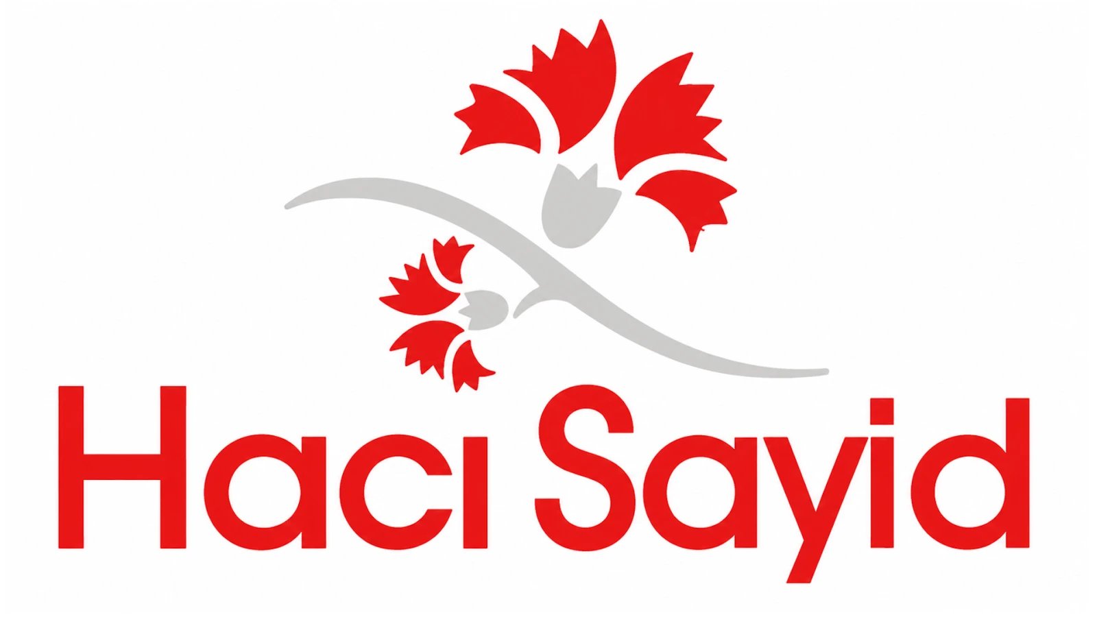 HACI SAYİD GIDA PAZARLAMA SANAYİ VE TİCARET A.Ş.